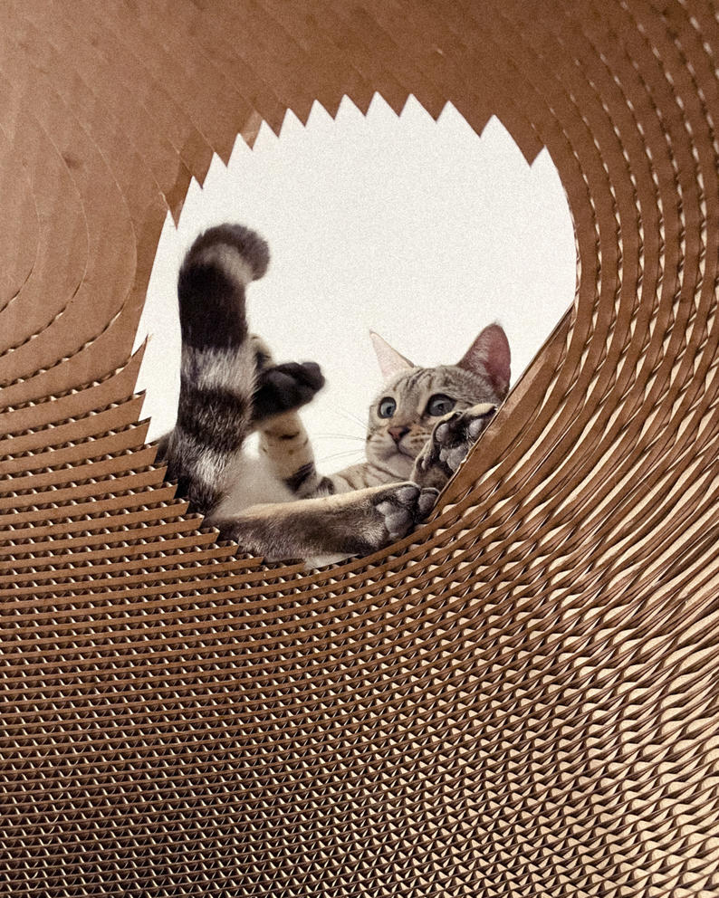 A gray cat's head, feet and tail peek out from a jagged circular hole in a brown sculpture