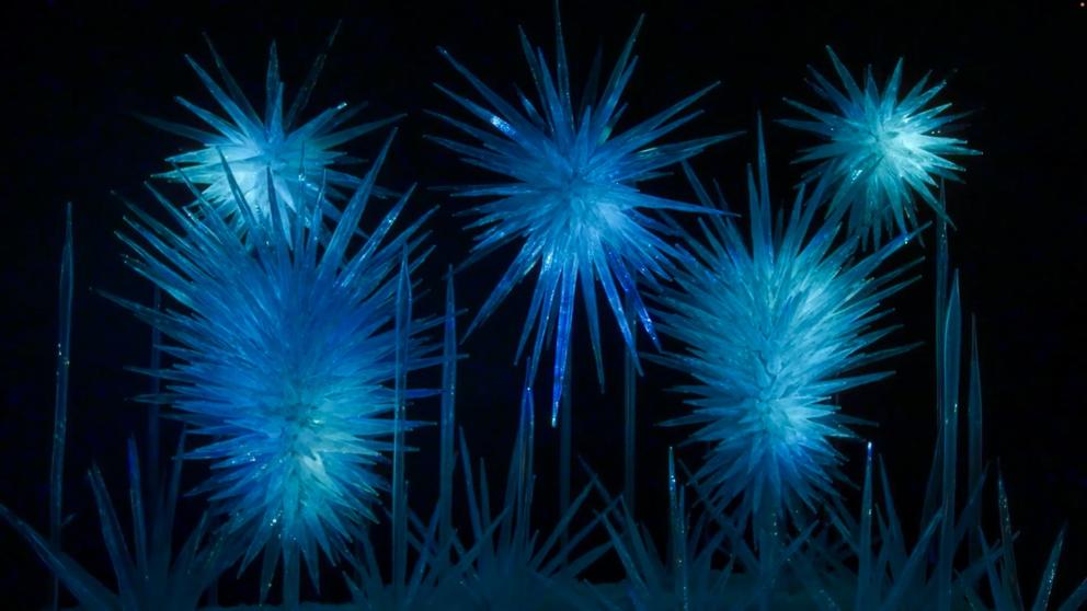 image of several glass sculptures that look like ice crystals lit in blue light