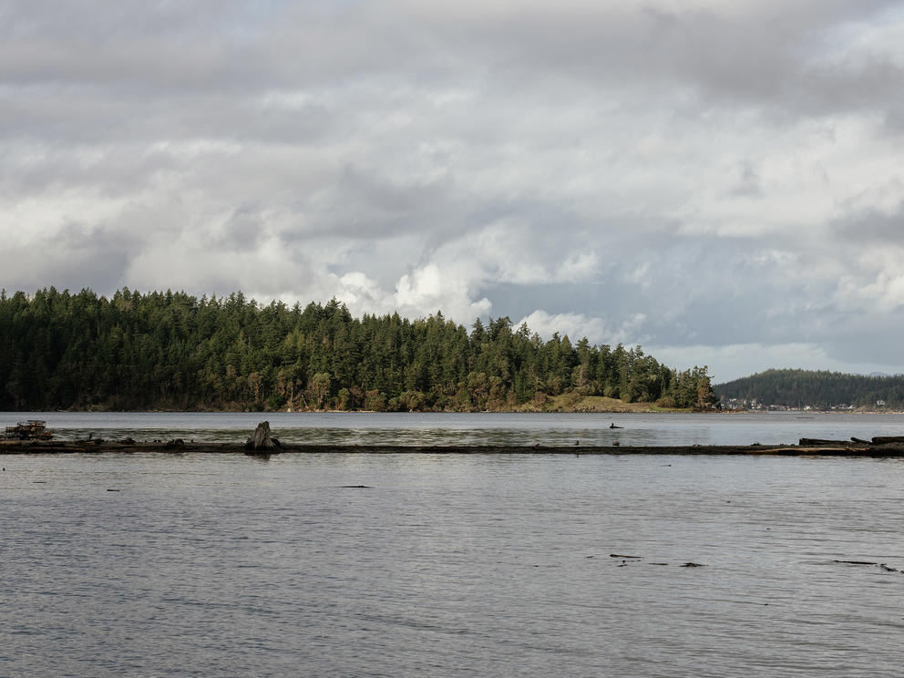 A waterbody with a forest and hills in the background on a cloudy day