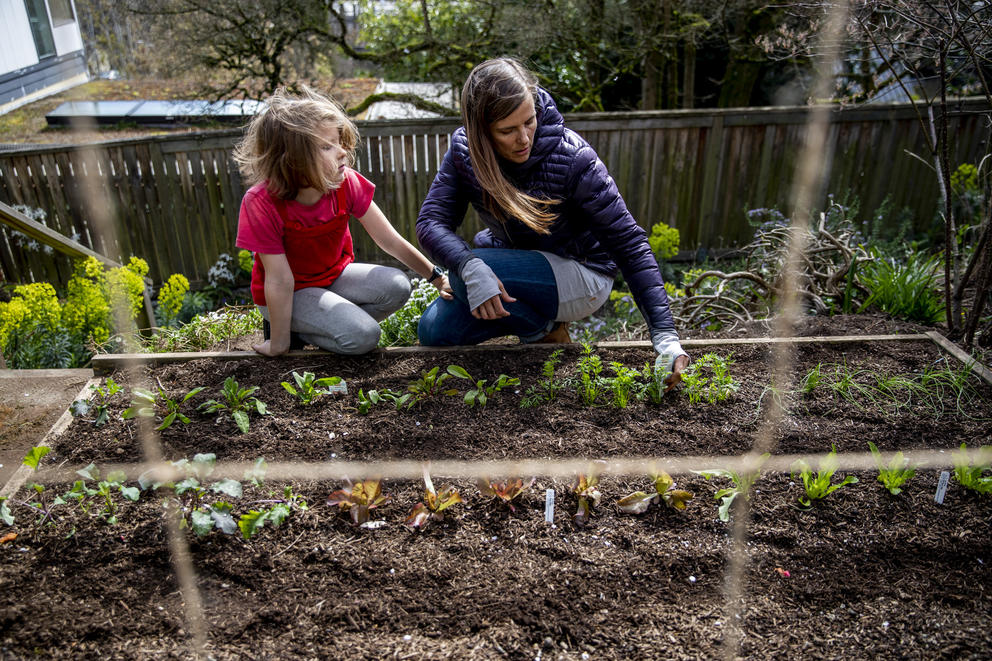 Planting a garden