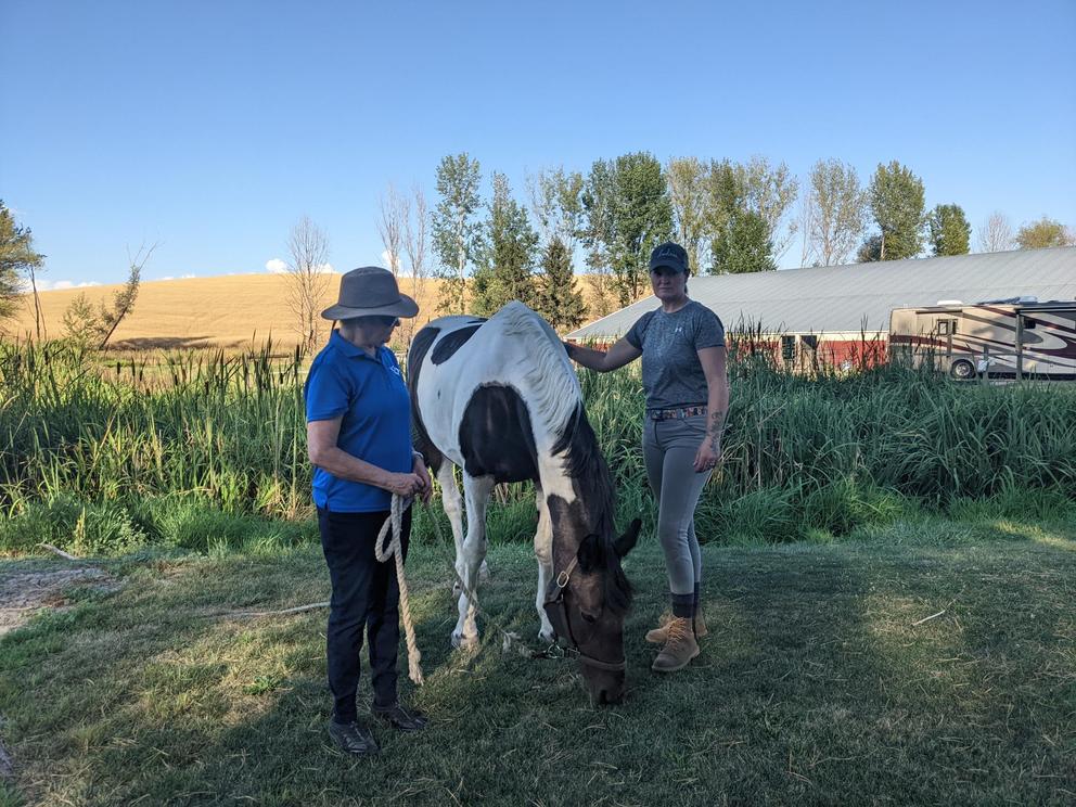 Two women with a horse