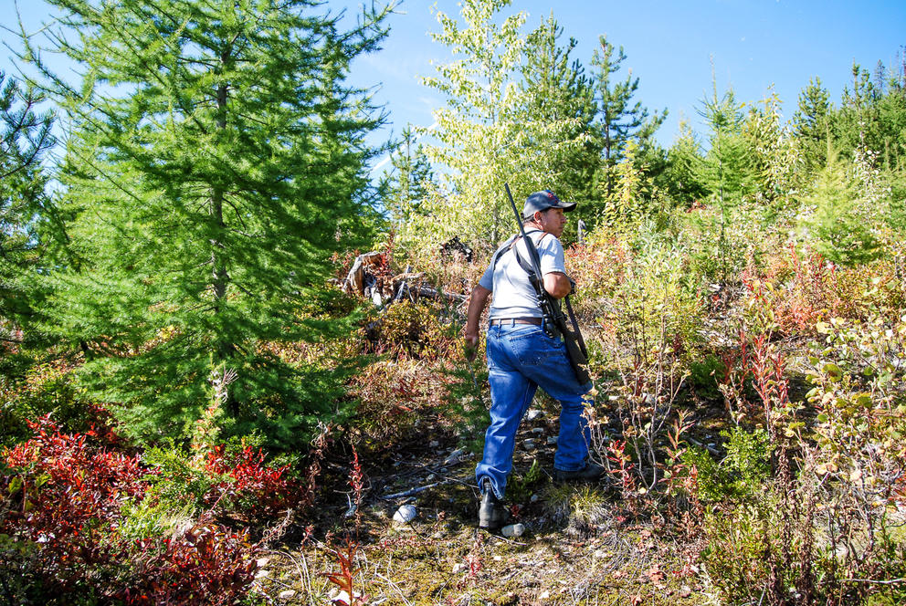 Desautel scouts for elk in traditional Sinixt lands near Seven Summits in Canada