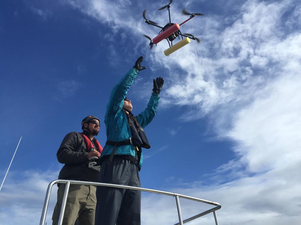 Photograph of Dr. John Durban flying a remotely-controlled hexacopter into the hands of Dr. Holly Fearnbach following an aerial photogrammetry flight over killer whales off Vancouver Island. Flights like this are conducted to collect high resolution aerial images that are analyzed to estimate size and monitor growth and body condition of whales.