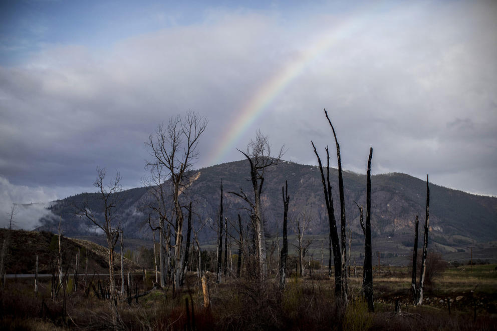 rainbow over a mountain