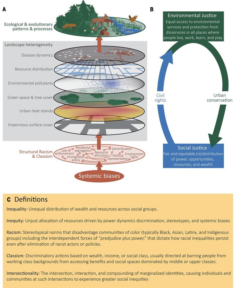 infographic image from review paper depicting the flow of damage through ecosystems