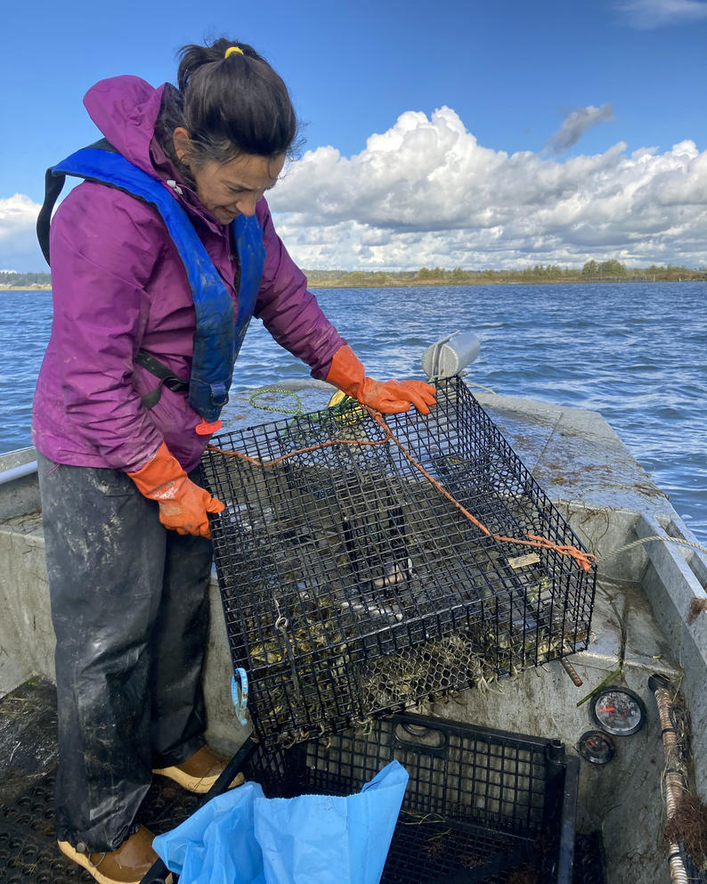 a researcher in a purple coat holds a crab trap