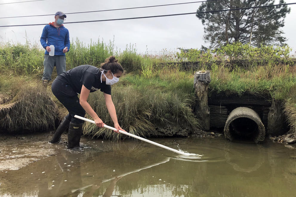 a researcher moves a PVC tube through the water on a sunny day 