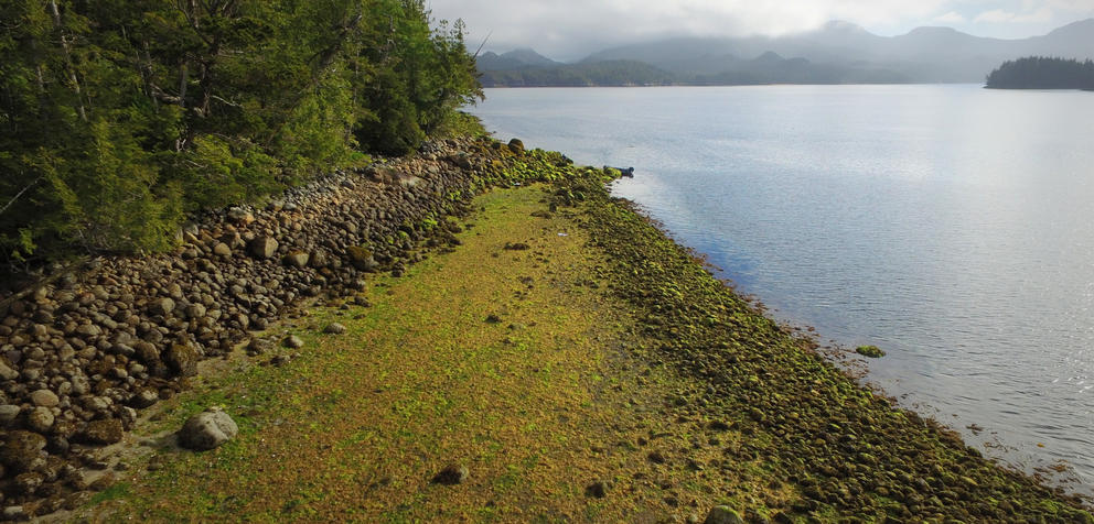 View of a rocky shoreline