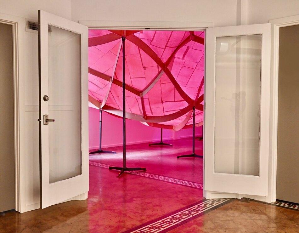 a photo of a doorway behind which is a glowing undulating structure all in pink