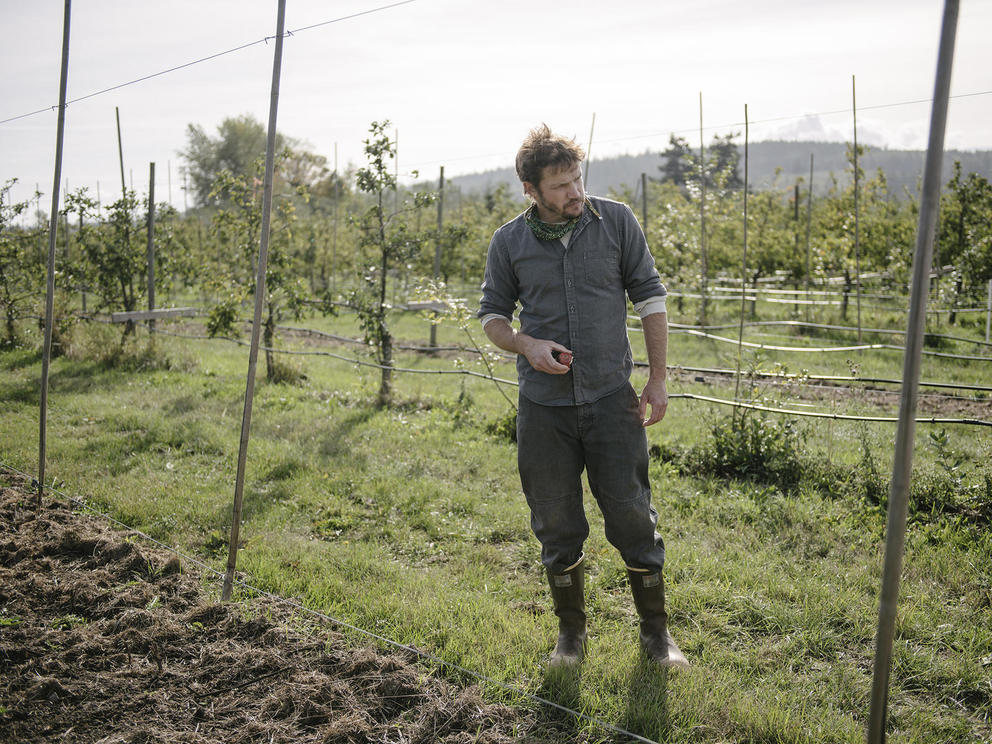 Andrew Byers stands in an apple orchard looking down with a half eaten apple in his hand