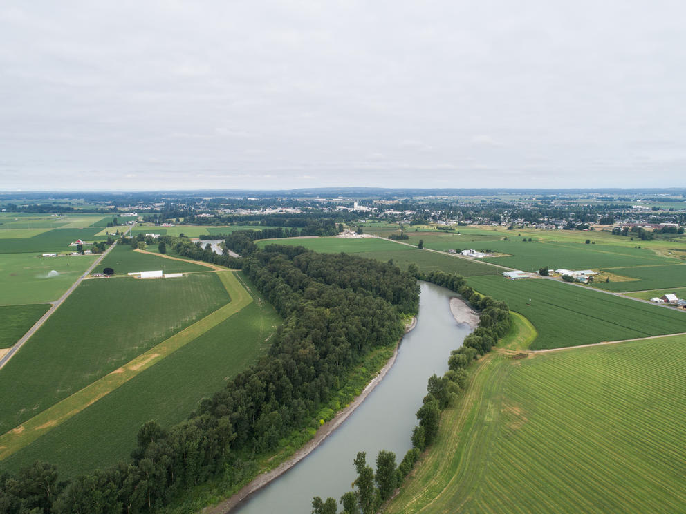 Farmland on either side of the Nooksack