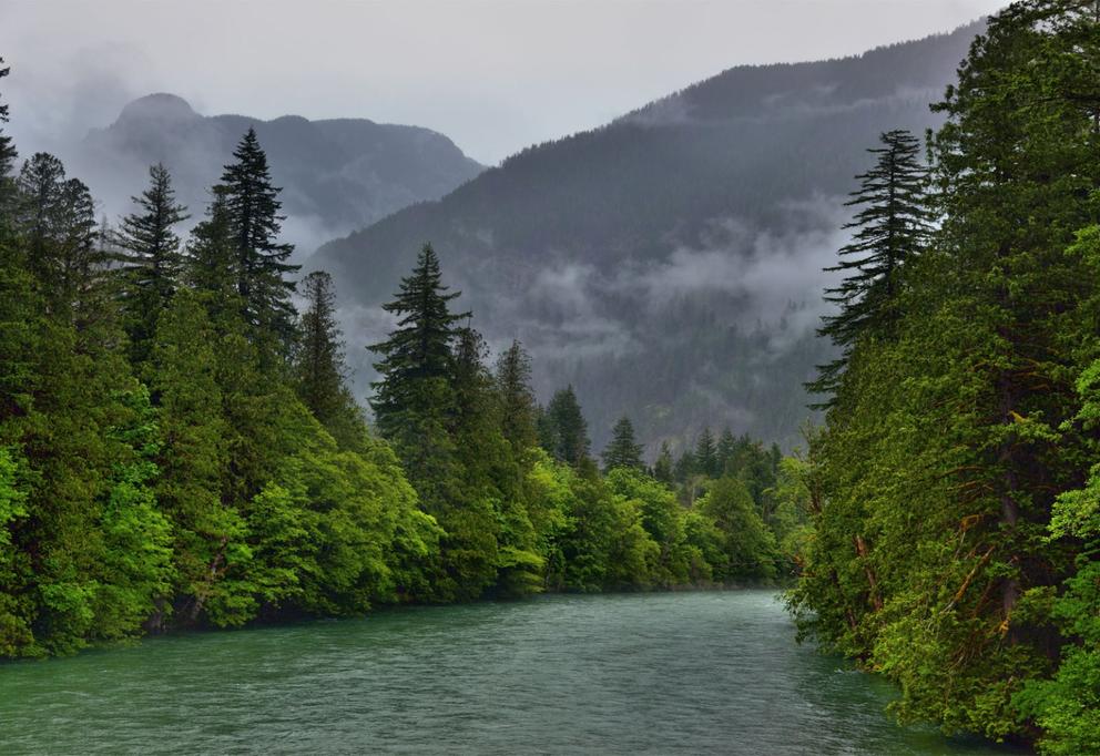 Skagit river flows under foggy mountains