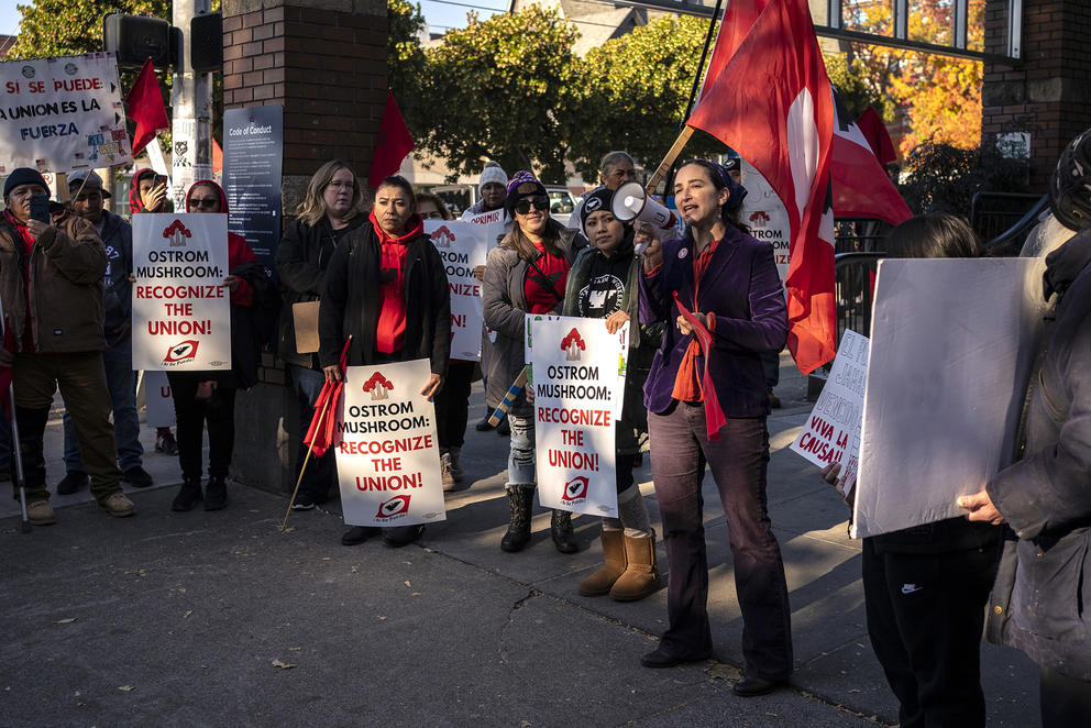 Sen. Rebecca Saldaña speaks at farmworker rally 