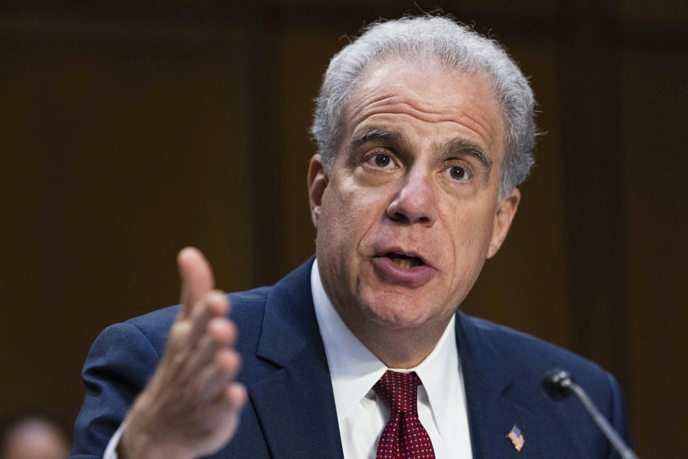 Horowitz holds up his hand in a chopping motion while testifying.