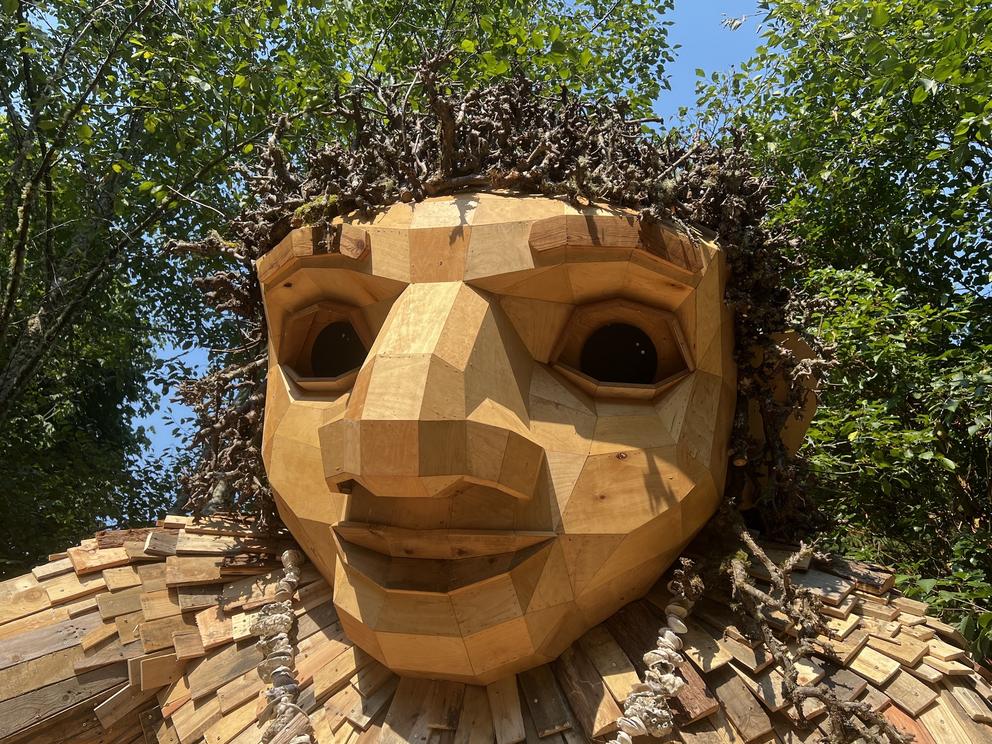 close up of the head of a wooden troll sculpture