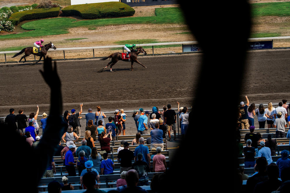 fans watch a horse race