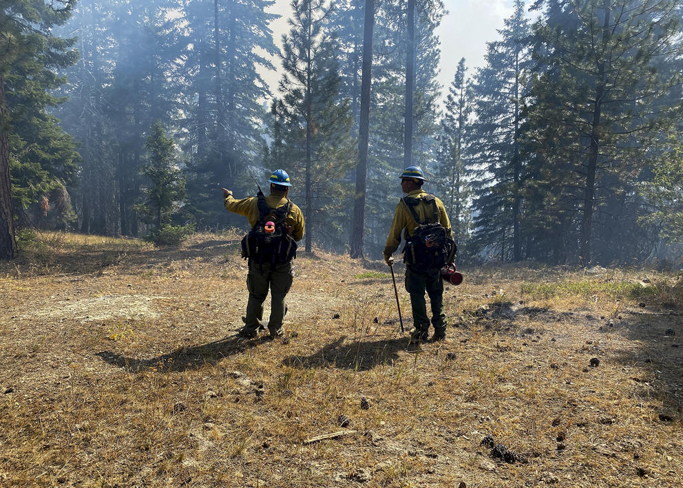 Two firefighters stand next to each other discussing firefighting options 