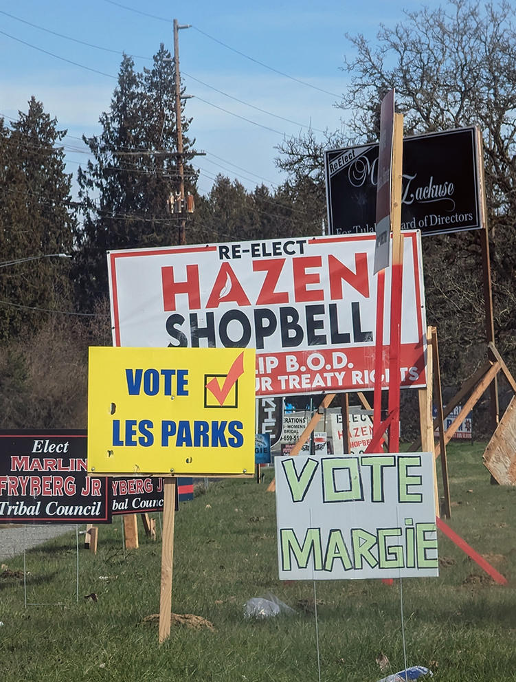 A patch of land has political signs with various candidates' names.