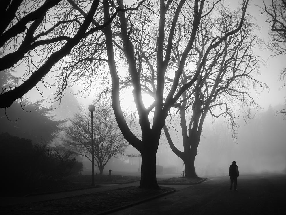 black and white photo of trees in fog with a mysterious figure at lower right