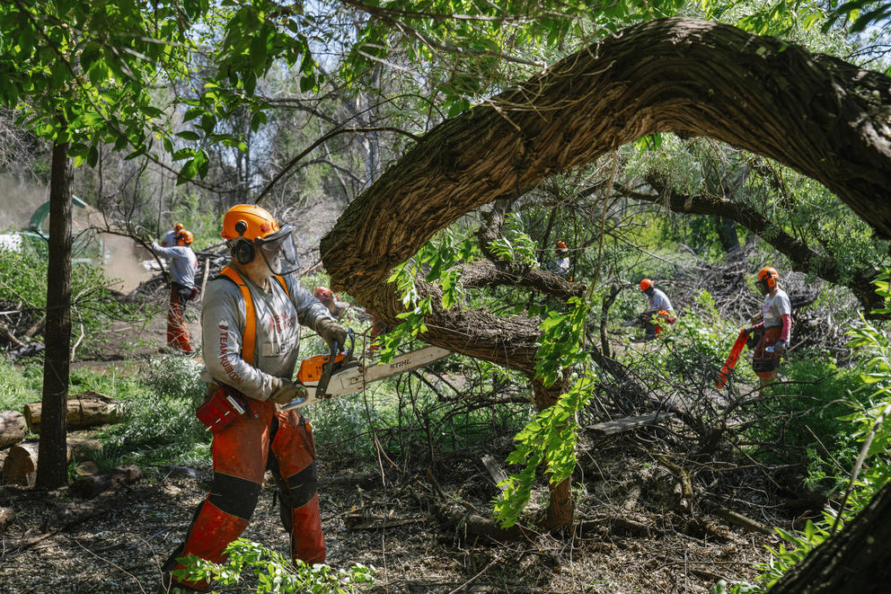 Team Rubicon volunteer Jeff Sesak cuts up a tree
