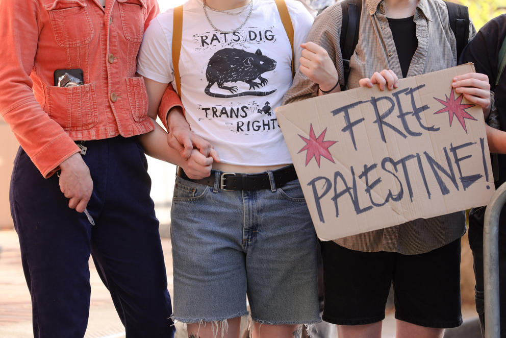 Pro-Palestinian protesters link arms and hold a “Free Palestine” sign