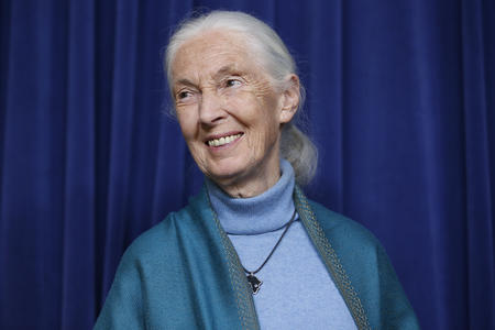 Jane Goodall