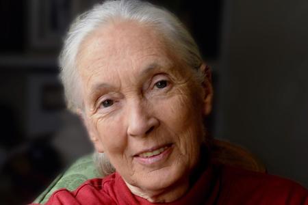 Jane Goodall