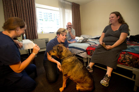 homeless dogs and cats living at Maryís Place new Guest Rooms