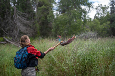 Kyla Bivens, an undergraduate student in the UW School of Aquatic and Fishery Sciences, assists the Alaska Salmon Program by tossing a sockeye salmon carcass onto the bank of Hansen Creek near Aleknagik, Alaska, in August 2018. Credit: Dan DiNicola/University of Washington