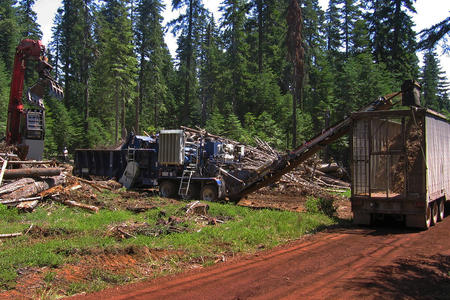 logging