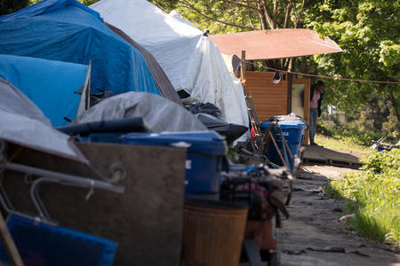 A homeless encampment, referred to as The Jungle, underneath a freeway overpass in Seattle. (Photo by Matt M. McKnight/Crosscut)