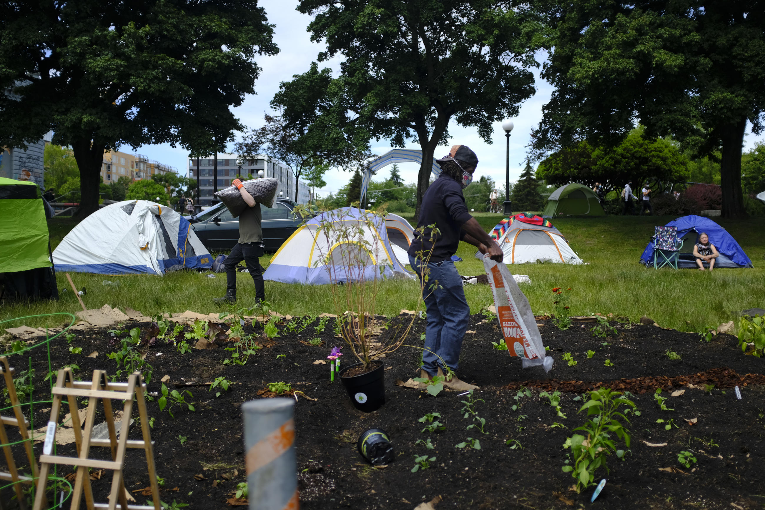 A person empties a bag of soil in a garden.